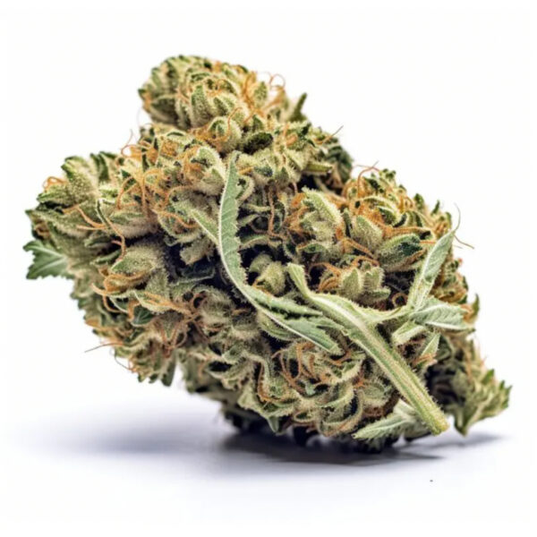 เมล็ดกัญชา Super Silver Haze (Fem) - Seeds Genetic.Co - Image 2
