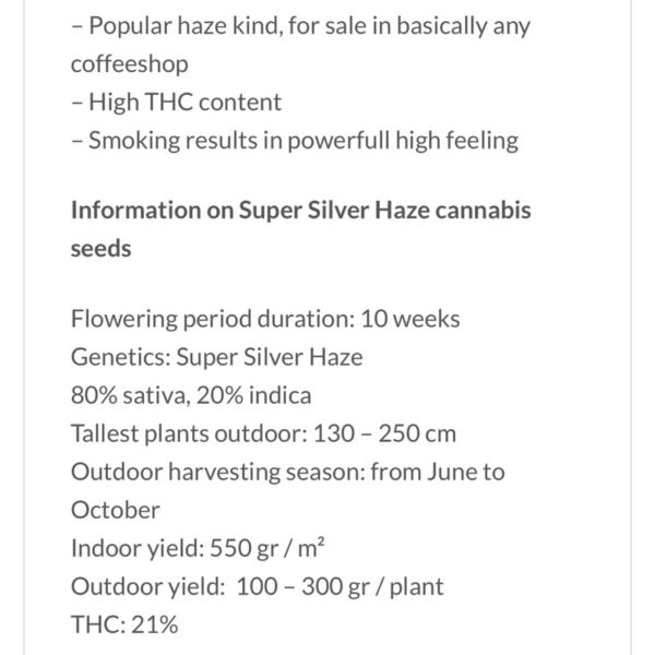เมล็ดกัญชา Super Silver Haze (Fem) - Seeds Genetic.Co - Image 3