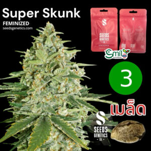 เมล็ดกัญชา Super Skunk (Fem) - Seeds Genetics.Co
