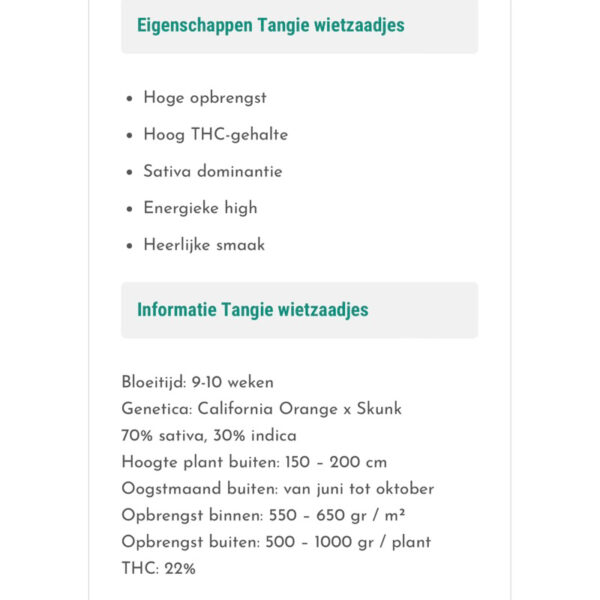 เมล็ดกัญชา Tangie (Fem) - Seeds Genetics.Co - Image 3