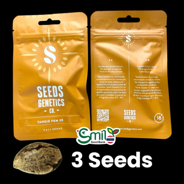 เมล็ดกัญชา Tangie (Fem) - Seeds Genetics.Co - Image 7