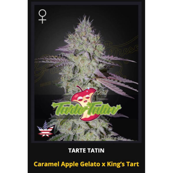 เมล็ดพันธุ์กัญชา Tart Tatin (Fem) - Green House Seeds.Co - Image 2