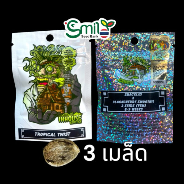 เมล็ดกัญชา Tropical Twist (Fem) ใหม่ 9/2024* - In House Genetics - Image 6