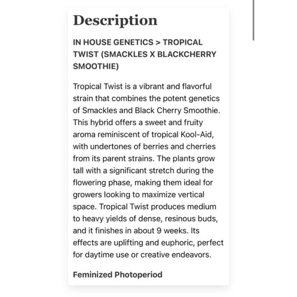 เมล็ดกัญชา Tropical Twist (Fem) ใหม่ 9/2024* - In House Genetics - Image 4