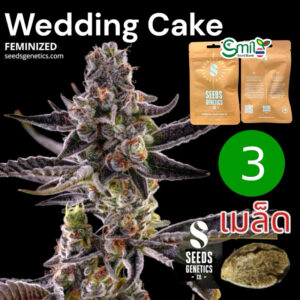 เมล็ดกัญชา Wedding Cake (Fem) - Seeds Genetics.Co