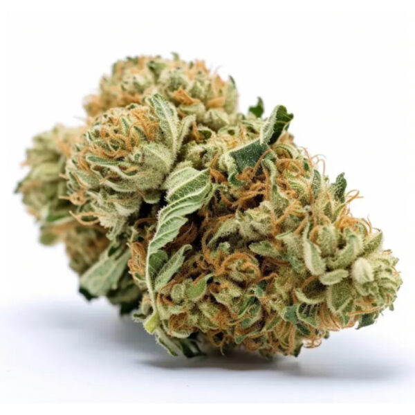เมล็ดกัญชา  White Widow (Fem) - Seeds Genetics.Co - Image 2
