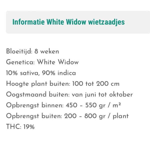 เมล็ดกัญชา  White Widow (Fem) - Seeds Genetics.Co - Image 5