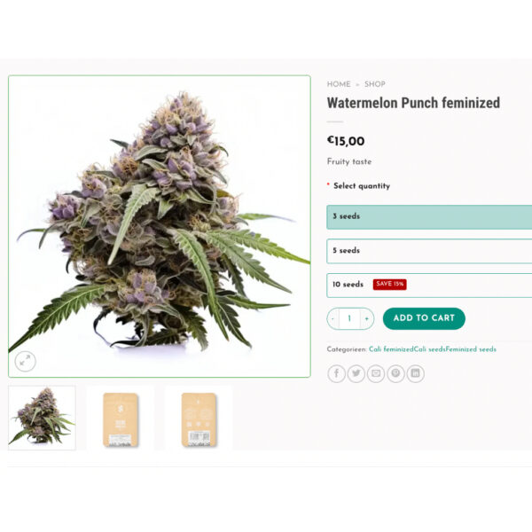 เมล็ดกัญชา Watermelon Punch (Fem) - Seeds Genetics.Co - Image 3