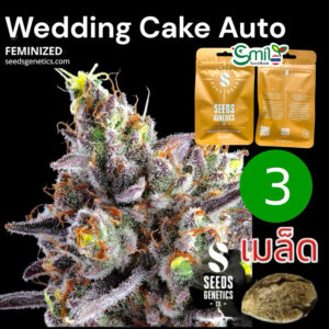เมล็ดกัญชา Wedding Cake (Auto) - Seeds Genetics.Co