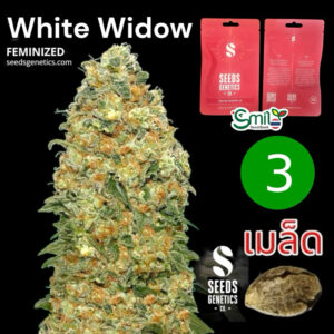 เมล็ดกัญชา  White Widow (Fem) - Seeds Genetics.Co