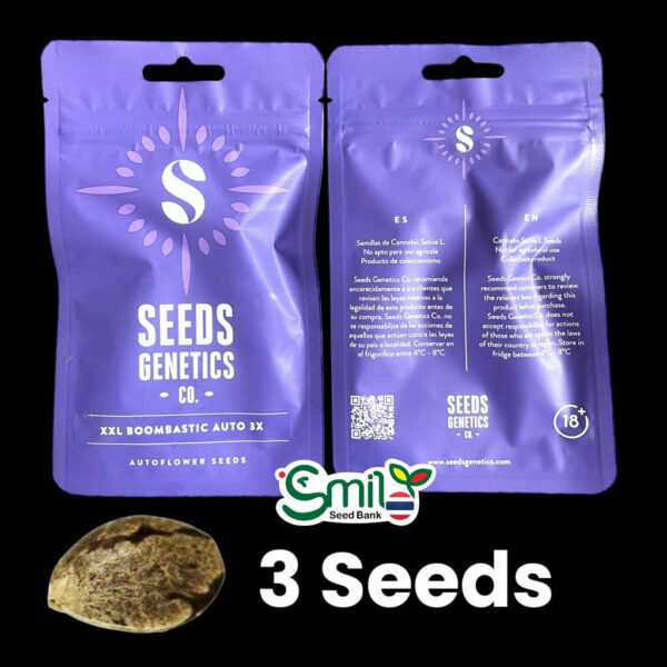 เมล็ดกัญชา XXL Boombastic (Auto) - Seeds Genetics.Co - Image 6