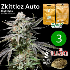 เมล็ดกัญชา  Zkittlez (Auto) - Seeds Genetics.Co