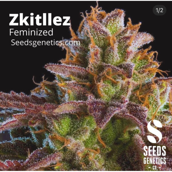 เมล็ดกัญชา Zkittlez (Fem) - Seeds Genetics.Co - Image 2