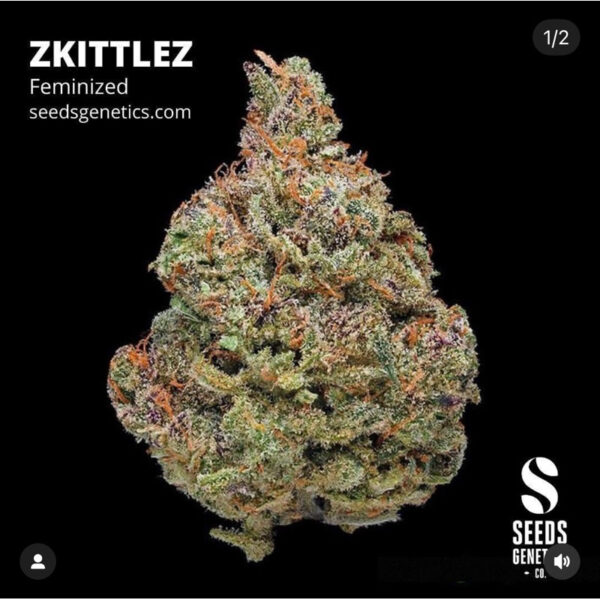 เมล็ดกัญชา Zkittlez (Fem) - Seeds Genetics.Co - Image 3