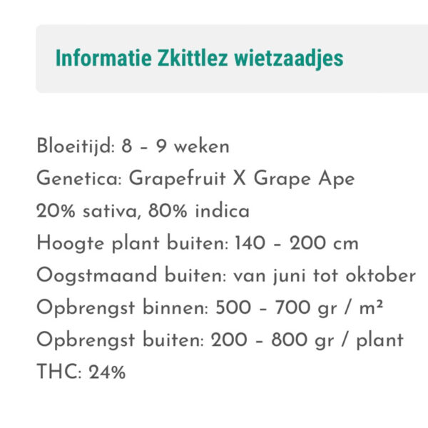 เมล็ดกัญชา Zkittlez (Fem) - Seeds Genetics.Co - Image 5
