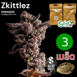เมล็ดกัญชา Zkittlez (Fem) - Seeds Genetics.Co