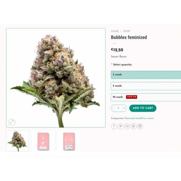 เมล็ดกัญชา Bubble Gum (Fem) - Seeds Genetics.Co - Image 4