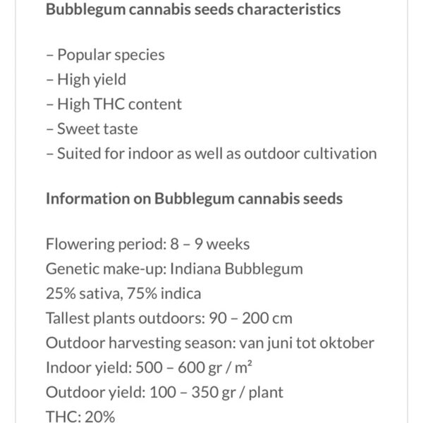 เมล็ดกัญชา Bubble Gum (Fem) - Seeds Genetics.Co - Image 3