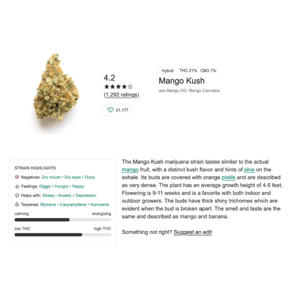 เมล็ดกัญชา Mango Kush (Fem) ใหม่* -  Seeds Genetics.Co - Image 3