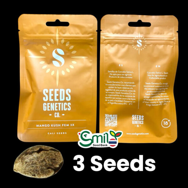เมล็ดกัญชา Mango Kush (Fem) ใหม่* -  Seeds Genetics.Co - Image 4