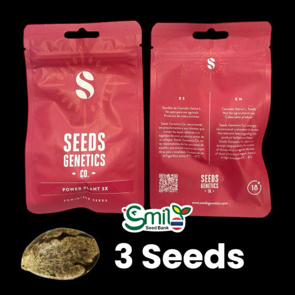 เมล็ดกัญชา Power Plant - Seeds Genetics.Co (Fem) - Image 6