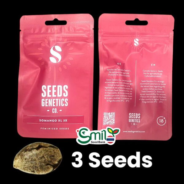 เมล็ดกัญชา Somango (Fem) - Seeds Genetics.Co - Image 8