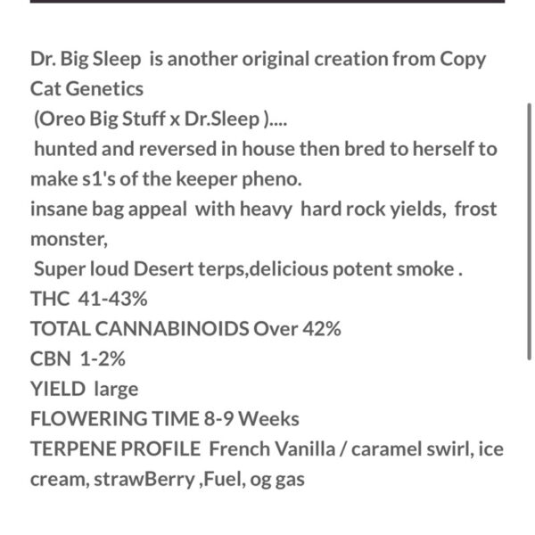 เมล็ดกัญชา Dr Big Sleep S1 (Fem) - Copycat Genetix - Image 4