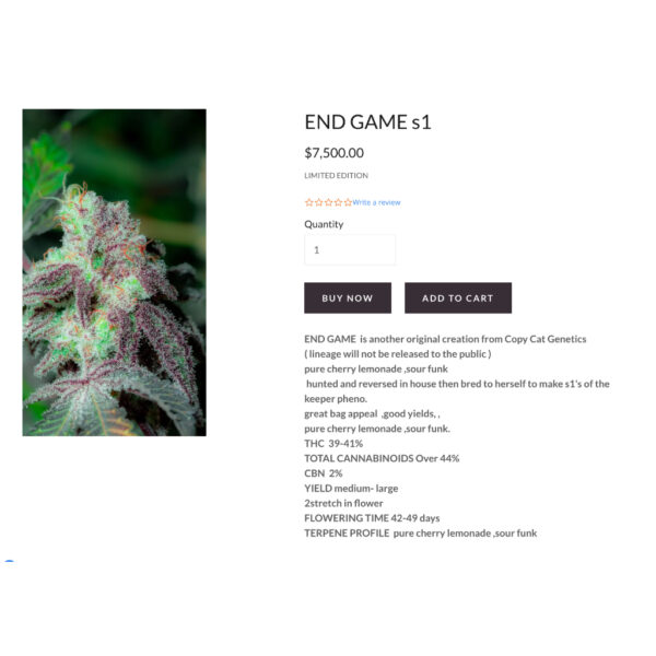 เมล็ดกัญชา END GAME S1 (Fem) - Copycat Genetix - Image 3