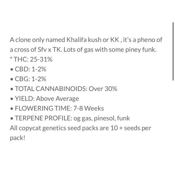 เมล็ดกัญชา Khalifa Kush S1 - Copycat Genetix - Image 2