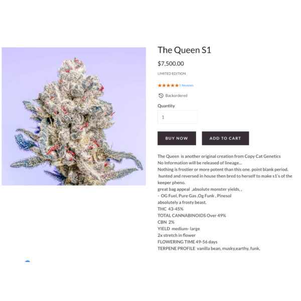 เมล็ดกัญชา The Queen S1(Fem) - Copycat Genetix - Image 2