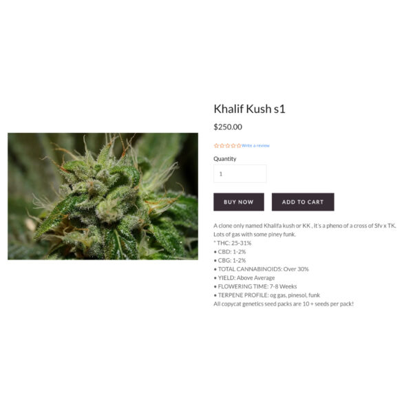 เมล็ดกัญชา Khalifa Kush S1 - Copycat Genetix - Image 4