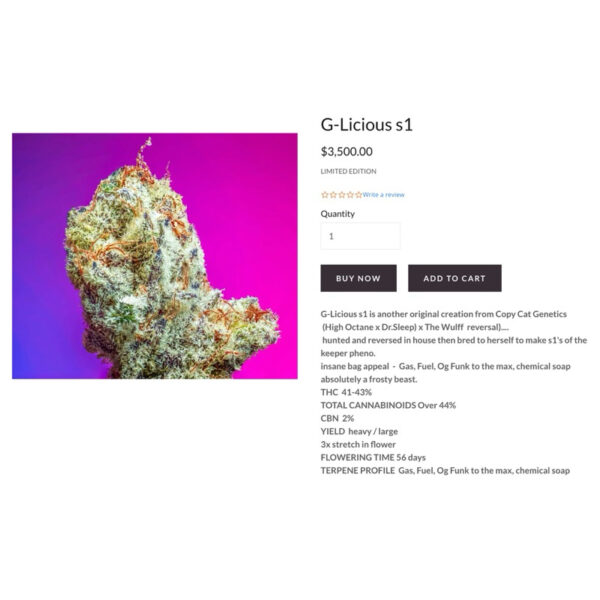 เมล็ดกัญชา G-Licious S1 (Fem) - Copycat Genetix - Image 5