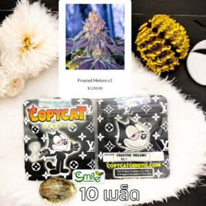 เมล็ดกัญชา Frosted Melons S1 (Fem) - Copycat Genetix