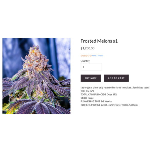 เมล็ดกัญชา Frosted Melons S1 (Fem) - Copycat Genetix - Image 2