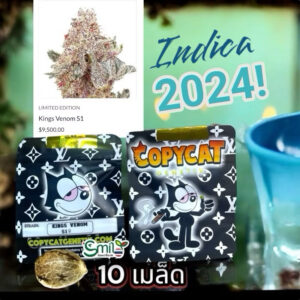 เมล็ดกัญชา Kings Venom S1 (Fem) Indica Effect ใหม่ล่าสุด 2024* - Copycat Genetix