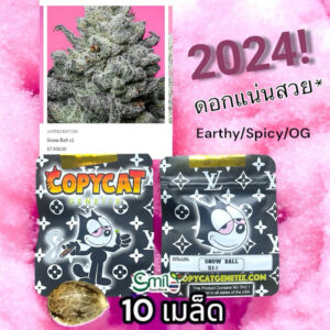 เมล็ดกัญชา Snow Ball S1 (Fem) New 2024* - Copycat Genetix