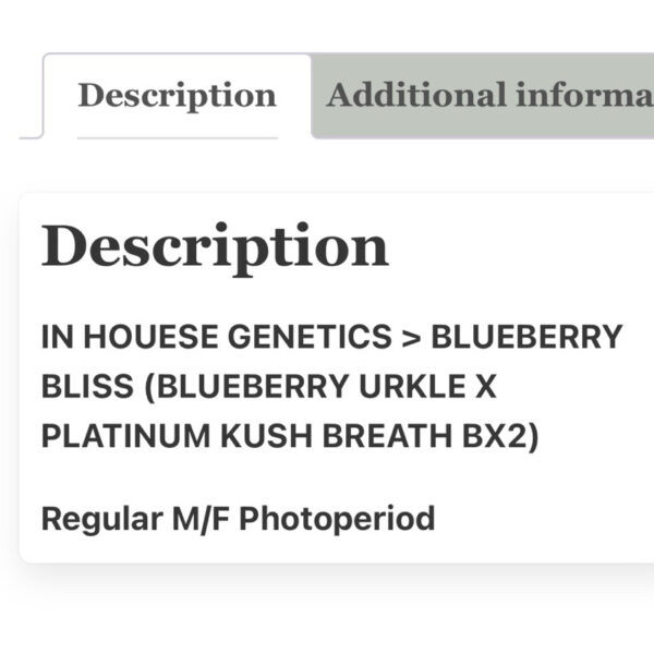 เมล็ดกัญชา Blueberry Bliss (Reg) 12/2024* สุ่มเพศใหม่ล่าสุด - In House Genetics - Image 3