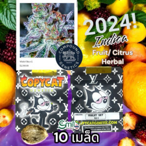 เมล็ดกัญชา Violet Sky S1 (Fem) Indica* - Copycat Genetix