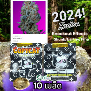 เมล็ดกัญชา Heavy Hitter S1 (Fem) อินดิก้าหนักๆ*- Copycat Genetix