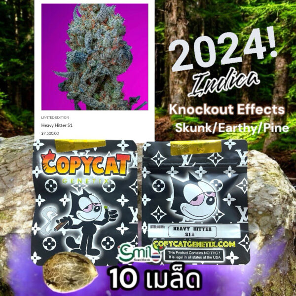 เมล็ดกัญชา Heavy Hitter S1 (Fem) อินดิก้าหนักๆ*- Copycat Genetix