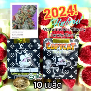 เมล็ดกัญชา Luxx Licious S1 (Fem) ใหม่ล่าสุด 2024* ฟรุตตี้ละมุน- Copycat Genetix