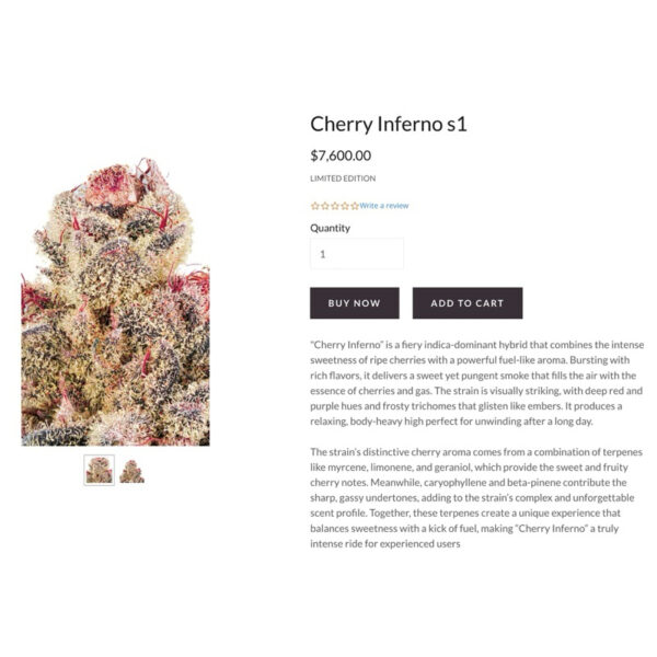 เมล็ดกัญชา Cherry Inferno S1 (Fem) Limited ใหม่ล่าสุด 2024*- Copycat Genetix - Image 3