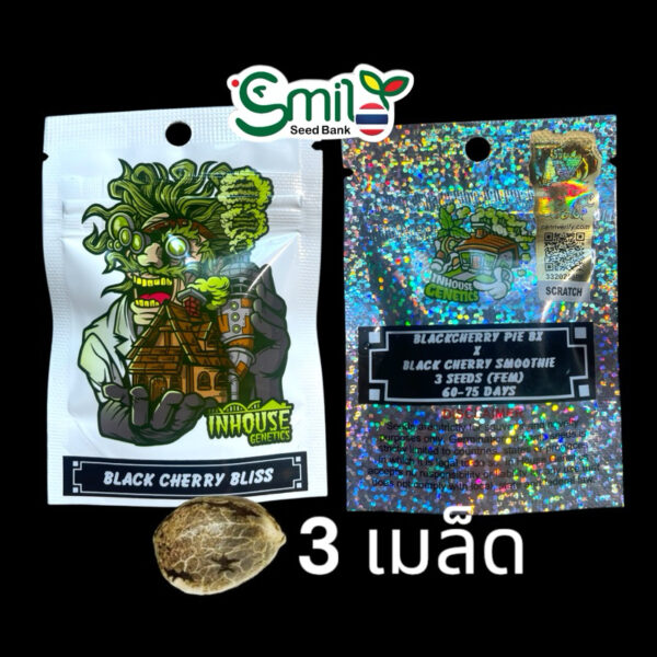 เมล็ดกัญชา Black Cherry Bliss (Fem) ใหม่ 9/2024* - In House Genetics - Image 3