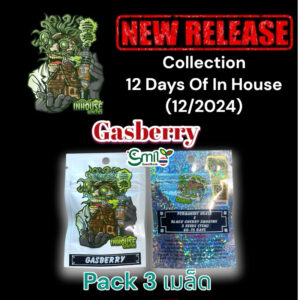 เมล็ดกัญชา Gasberry (Fem) 12/2024* ใหม่ - In House Genetics [12 DAYS OF IN HOUSE]