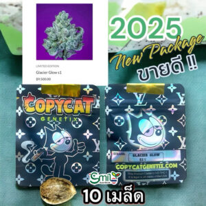 เมล็ดกัญชา GLACIER GLOW S1 (Fem) Limited ใหม่ 2024* - Copycat Genetix