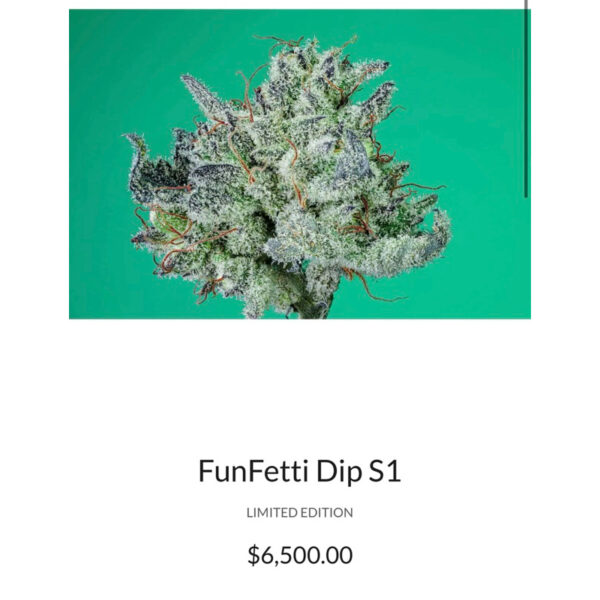 เมล็ดกัญชา Funfetti Dip (Fem) Sativa เบอรี่เค้ก 2024* - Copycat Genetix - Image 2