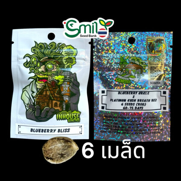 เมล็ดกัญชา Blueberry Bliss (Reg) 12/2024* สุ่มเพศใหม่ล่าสุด - In House Genetics - Image 2