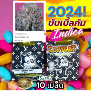 เมล็ดกัญชา Slumber Gum S1 (Fem) Indica หอมบับเบิ้ลกัม ผ่อนคลาย  2024* - Copycat Genetix