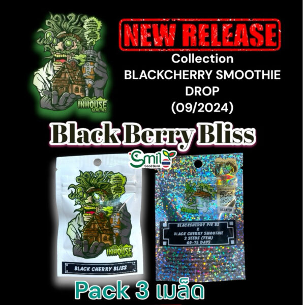 เมล็ดกัญชา Black Cherry Bliss (Fem) ใหม่ 9/2024* - In House Genetics