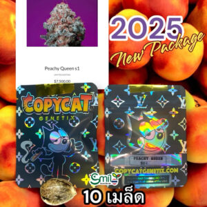 เมล็ดกัญชา Peachy Queen S1 (Fem) - Copycat Genetix